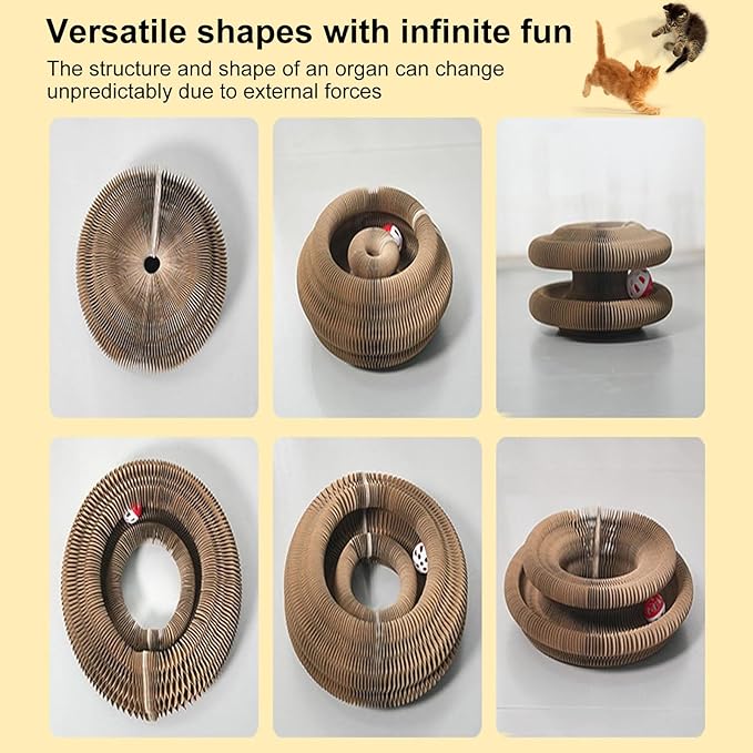 3PC Kitty Curls Cat Toy,Magic Organ Cat Toy,Cat Scratcher for Grinding Claw Cardboard Cat Toys,Interactive Scratch Pad with Toy Ball,Durable Eco-Friendly Ring for Play, Chase & Scratch