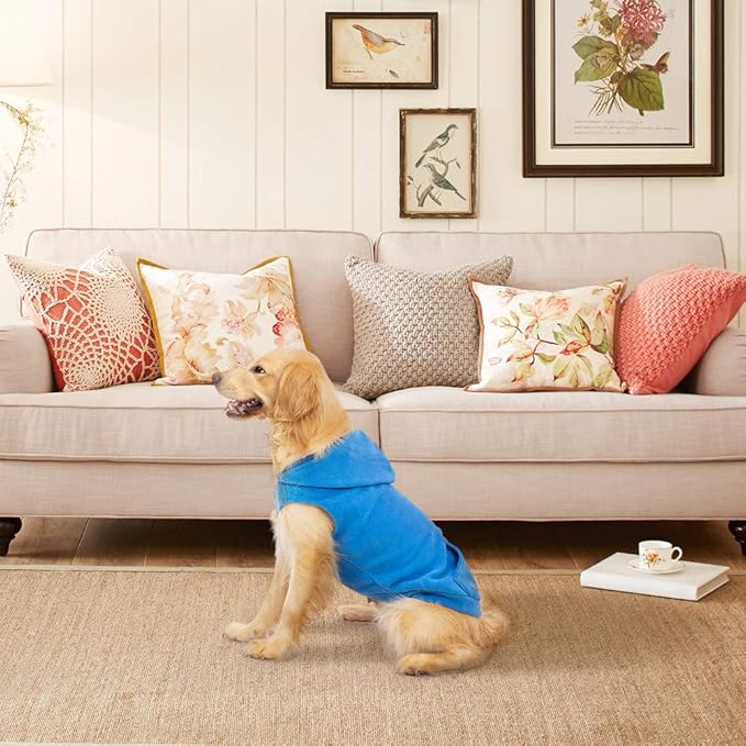 EXPAWLORER Dog Hoodie Fleece Sweater Vest, Hooded Dog Sweatshirt Fall Winter Pet Clothes with Leash Hole, Sleeveless Warm Cozy Puppy Clothing for Cat Small Medium Large Dogs Girl Boy, Blue L