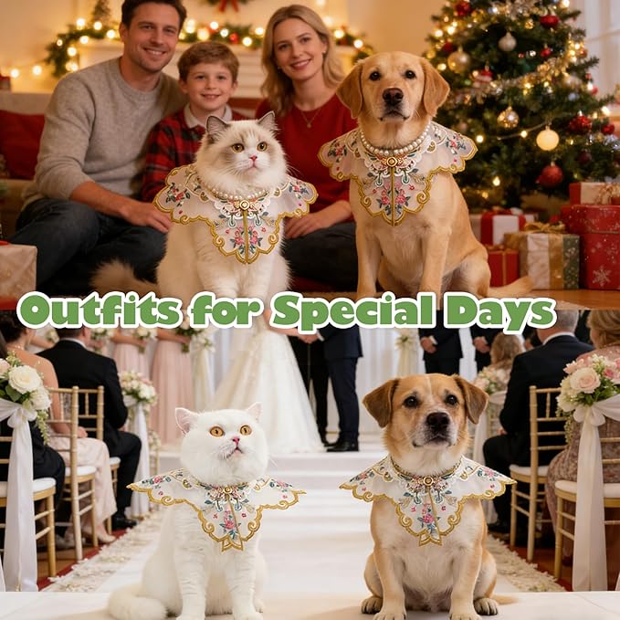 Leo Kitty New Year Pet Outfit for Small Cats & Small Dogs — Green Butterfly-Embroidered Costume, Holiday Dress-Up Essential