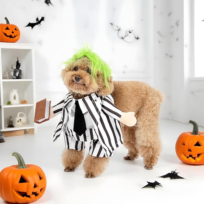 DELIFUR Dog Halloween Funny Costume - Pet Adorable Fantacy Clothes Cat Cosplay Apparel Dress Up for Small Medium Dog Funny Outfit Adjustable (Suit, Medium)