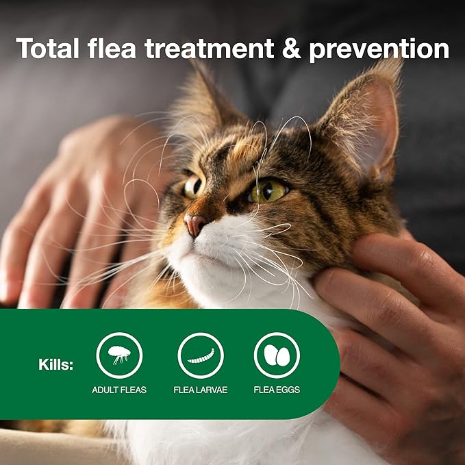 Advantage II Large Cat Vet-Recommended Flea Treatment & Prevention | Cats Over 9 lbs. | 1-Month Supply (Pack of 3)