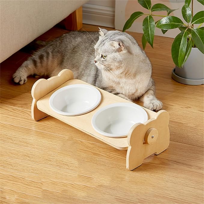 Pet Feeding Bowls Anti-Vomiting Bowl Small Cats Bowl Kitten Food Feeder Bowl Water Dispenser Bowl Watering Supplies