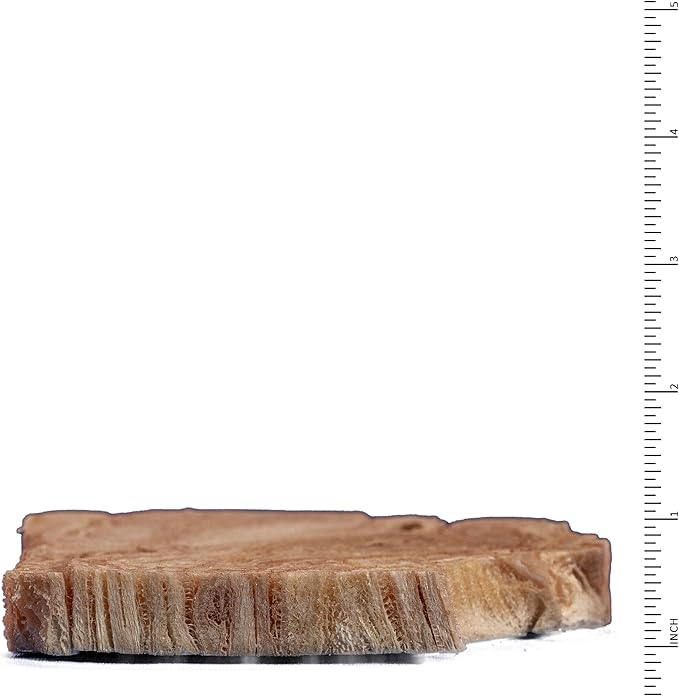 Archetype Treats Beef Tripe 5.5 oz. Bag