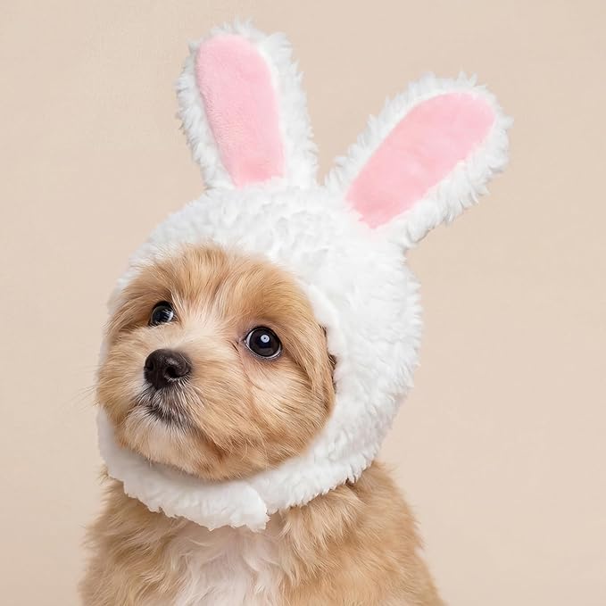 Cat Easter Bunny Ears Small Dogs Easter Rabbit Ear Costume Pet Cats Bunnys Rabbit Hat with Ear Pet Accessory Bunny Ears for Cats Cute Headwear Easters Pets Party Costume for Cat Puppy