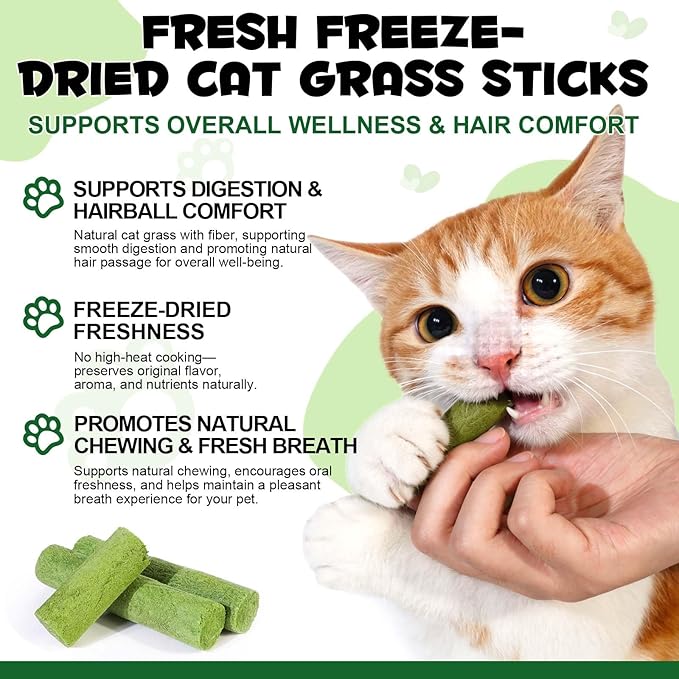 Freeze-Dried Cat Grass Sticks for Teething, High Meat Content Hairball Control & Dental Health Chews, Grain-Free Cat Treats with Chicken & Egg Yolk