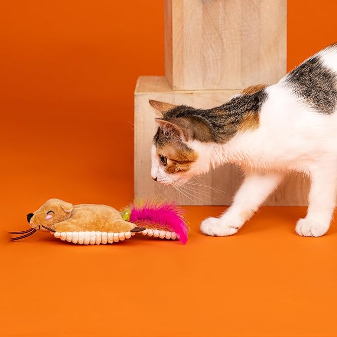Fringe Studio Launcher Cat Toy Catch ME Flyin', Pet Shop Collection (790005)