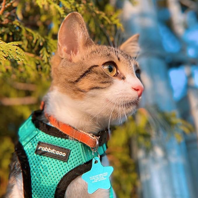rabbitgoo Cat Harness and Leash for Walking, Escape Proof Soft Adjustable Vest Harnesses for Cats, Easy Control Breathable Reflective Strips Jacket, Emerald, XS