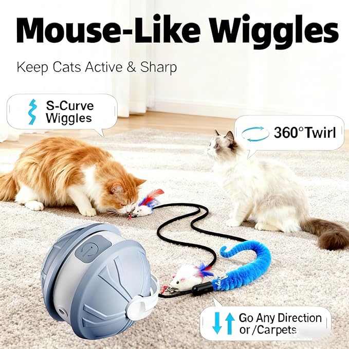 Interactive Cat Toy Ball for Indoor Cats, 2-in-1 Smart Moving Cat Ball with Feather Accessories, Automatic Kitten Toys for Bored Indoor Cats, USB Rechargeable Ideal for Small and Medium Cats