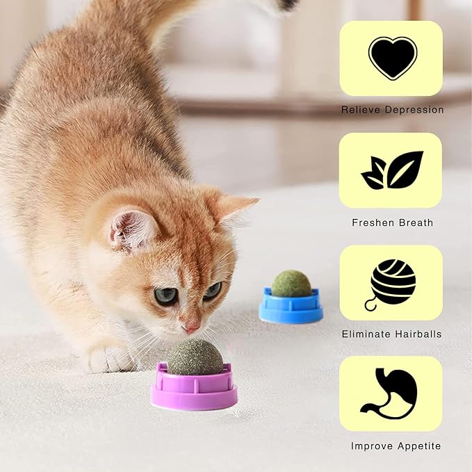 6PCS Catnip Balls for Cats Wall Edible Cat Toys with Catnip Silvervine Gall Fruit Flavors for Cat Lick Safe Teeth Cleaning Dental Cat Toy