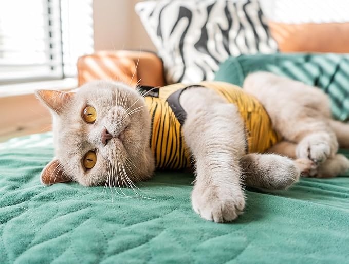 Suitical Cat Recovery Suit for Spay, Neuter, Suture, Incision, & Skin Conditions - Breathable Fabric with Back Opening - 15.7-17.7 Inches Neck to Tail, 18-24 Inches Chest - XS, Tiger Print