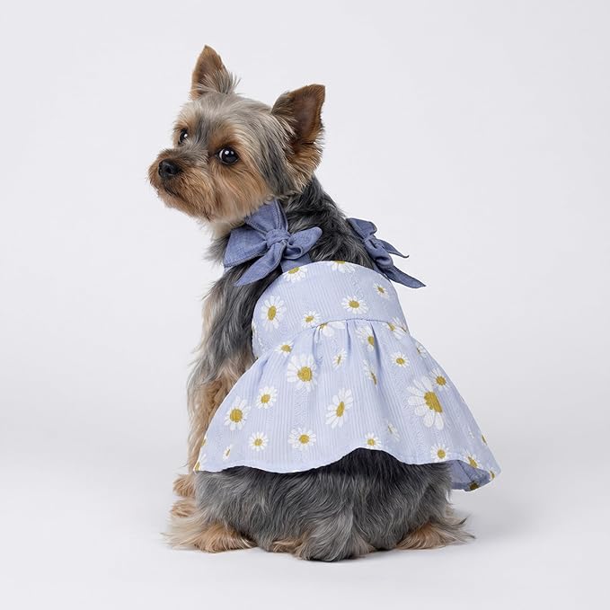 Fitwarm Daisy Dog Dress, Elegant Summer Clothes for Small Dogs Girl, Lightweight Pet Clothes, Blue, White, XXS