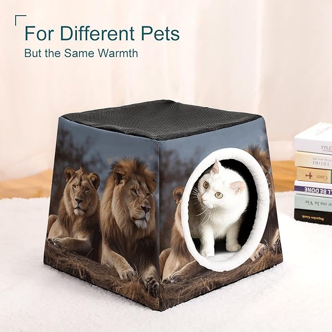 Cat Cave Cat Beds for Indoor Cats Two Lions Foldable Cat Hideaway with Washable Cushion and Non-Slip Base
