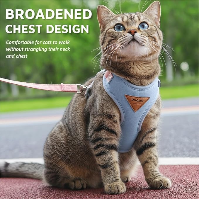 Escape-Proof Cat Harness and Leash Set - Adjustable and Comfortable - Ideal for Walking Cat Outdoors - Fits Small Dogs, Kittens, Medium, and Large Cats (Blue, S)