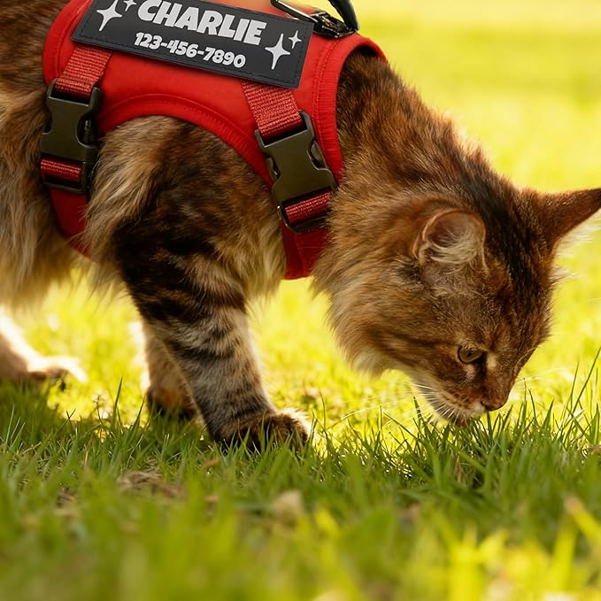 Cat Harness and Leash Escape Proof Tactical Cat Harness with Custom Patches Adjustable Soft Vest for Walking & Training Comfortable Outdoor Gear Fits Small Medium Large Cats (8-20 lbs)