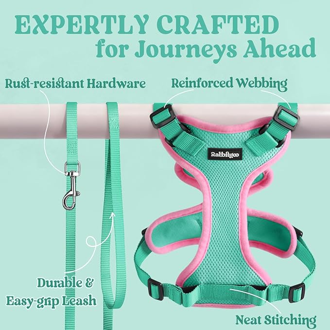 rabbitgoo Cat Harness and Leash