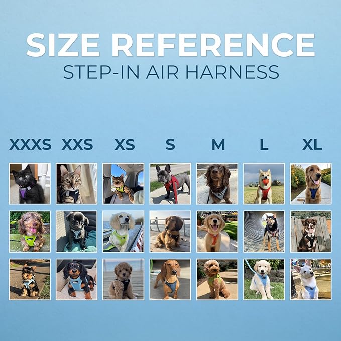 Voyager Step-in Pet Harness - All Weather Mesh, Adjustable Step in Harness for Cats and Dogs by Best Pet Supplies - 307S Baby Blue, M