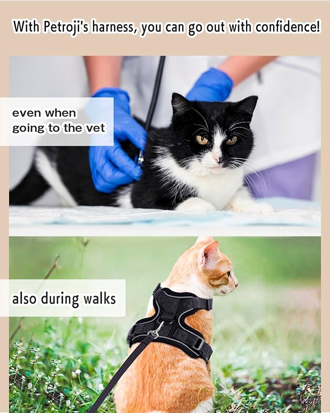 Cat Harness Escape Proof with Leash for Walking, Travel Vest Soft Chest Support, Adjustable Size, Escape Proof Soft Adjustable Vest Harnesses, Breathable, Kittens, Small Dogs (美/背縄/緑1/S)