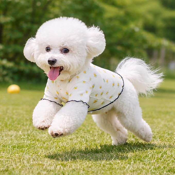 Winmany Dog Cooling Shirt for Small Dog Cat, Puppy Summer Sun Protection Stretchable Breathable Quick Dry Pet Vest Outfit,Yellow Flower, Large