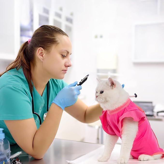 Avont Cat Recovery Suit - Post-Surgery Onesie for Cats, Alternative to Cone of Shame, Protective Spay Suit for Female Kitten, Ideal for Healing and Skin Conditions -Magenta(M)