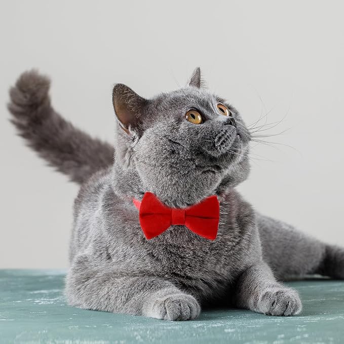Mozeat Lens 2 Pcs Velvet Cat Collar Cute Cat Bow Tie Collar for Boy Cats Breakaway Kitten Collars with Bell Adjustable Puppy Bow Tie Collar Personalized Collars for Small Pets