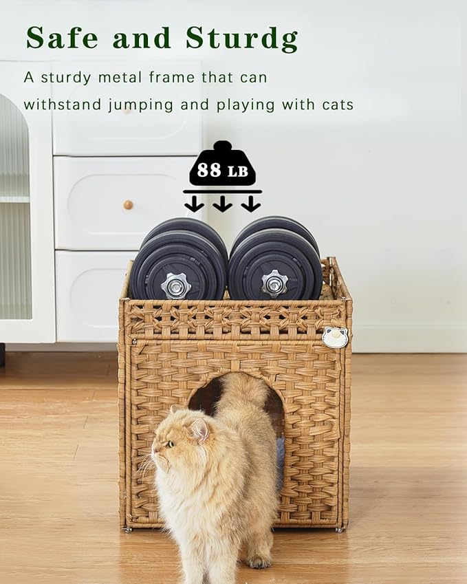 SETVSON Cat Beds for Indoor Cats Extra Large Double Cat Cave Pet Cube, Handwoven Rattan Cat Houses with Double-Sided Soft Cushions, 18.5 x 20.5 x 19.1 Inches Foldable Hideaway in Living Room Natural