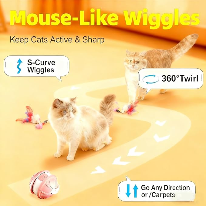 Interactive Cat Toy Ball for Indoor Cats, 2-in-1 Smart Moving Cat Ball with Feather Accessories, Automatic Kitten Toys for Bored Indoor Cats, USB Rechargeable Ideal for Small and Medium Cats