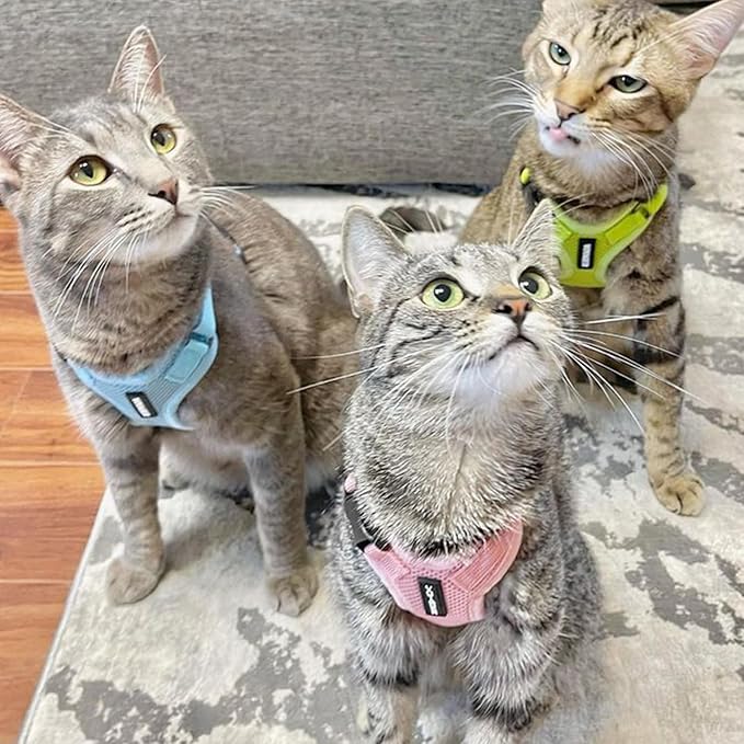 Voyager Escape-Proof Step-in Lock Cat Harness & 5ft Neoprene-Handle Leash Set All-Weather Mesh with Reflective Stitching for Small to Large Cats by Best Pet Supplies, Pink, XXS