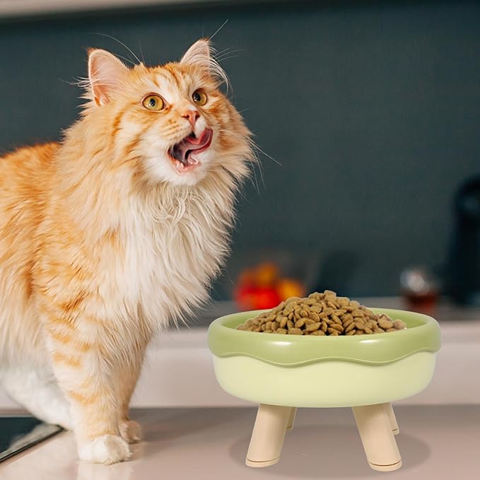 VICASKY Raised Cat Bowl and Elevated Kitten Food Dish with Neck Protection, Tilted Design in Grass Green, Anti-Vomit Pet Feeding and Watering Bowl for Cats and Kittens