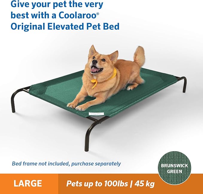 Coolaroo Original Pet Bed Replacement Cover - Brunswick Green - Large (43.5" x 31.5") (Pack of 3)