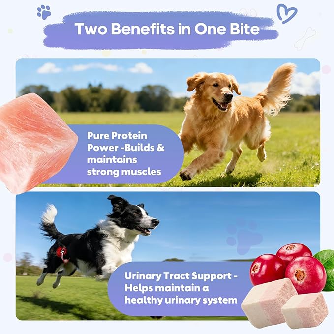 4.23 oz Freeze Dried Chicken Cubes for Dogs and Cats Chicken Snacks with Cranberry Nutrient-Dense Low-Fat Pet Training & Reward Snacks Grain-Free Chicken Treats