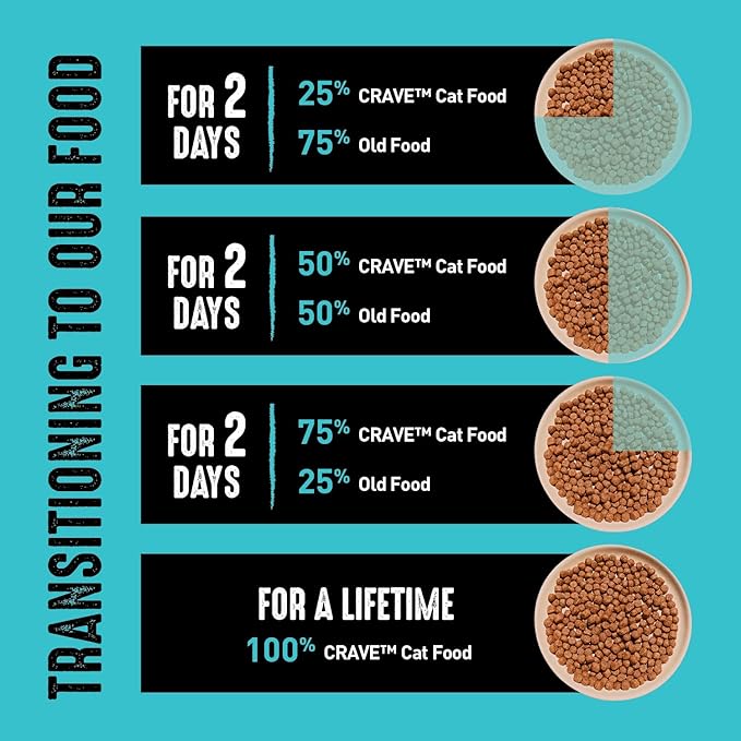 CRAVE Grain Free Adult High Protein Natural Dry Cat Food with Protein from Salmon & Ocean Fish, 2 lb. Bag