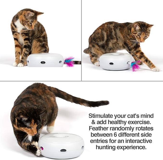 PetFusion Ambush Interactive Electronic CAT Toy