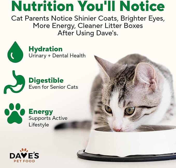 Dave's Pet Food Grain Free Wet Cat Food (95% Chicken & Chicken Liver Pate), Made in Canada Naturally Healthy Canned Cat Food, Added Vitamins & Minerals, Wheat & Gluten-Free, 5.5 oz (24 Pack)