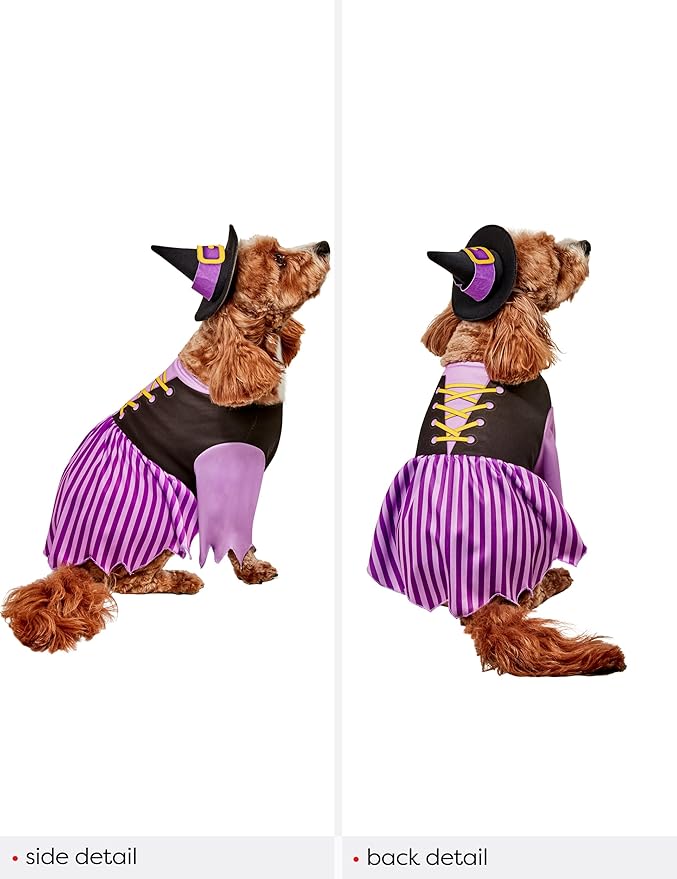 Rubies Witch Pet Costume for Dogs or Cats, Medium