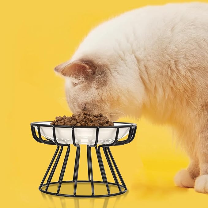 TOYANDONA Elevated Ceramic Cat Bowl Set with Neck Guard, Non-tip Black Iron Rack, Fishbone Plate Design for Indoor Pet Feeding and Watering