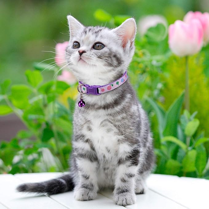 Frienda 6 Pack Cat Collars with Bells Breakaway Cats Collar Adjustable 8.27 to 13.39 Inches Safety Buckle Cute Pets Collar for Adult Cats and Small Dogs(Pink, Blue, Purple, Green)