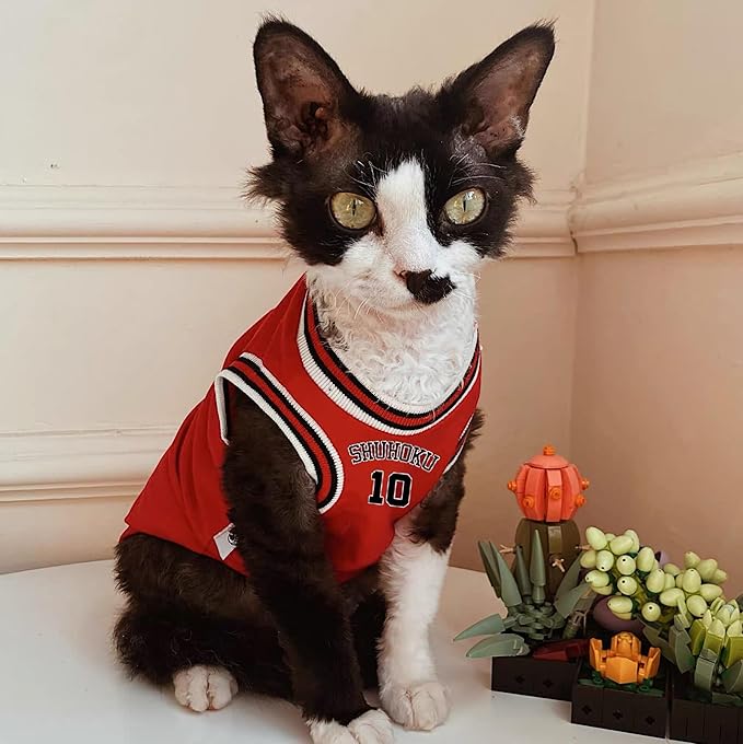 Sphynx Cat Basketball Jersey, Anime-Inspired Pet Shirt, Breathable Stretchy Cotton Outfit for Hairless Cats & Small Dogs, Sleeveless Sport Costume for Cats (Red, X-Large (7-9.5lbs))