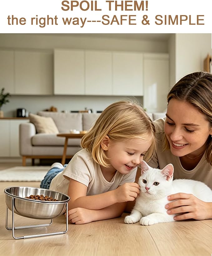 15° Tilted Cat Food Bowls 304 Stainless Steel Kitten Food Bowl Raised Food and Water Dish for Cats Elevated Cat Bowl Plate Stand Whisker Friendly Smooth Polished Easy to Clean Dishwasher Safe 2PACK