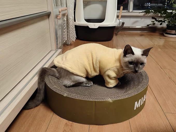 Sphynx Cat Clothes Winter Turtleneck Soft Coral Fleece Cat Clothes Thicken Warm Pajamas Coat for Hairless Cats and Small Cat Apparel with Sleeves (Apricot Yellow, M（3.8-6lbs）)