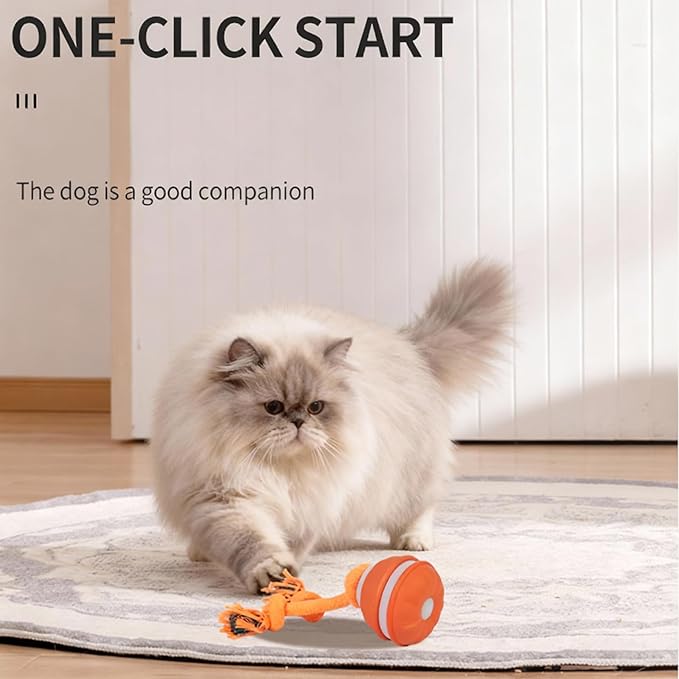 Interactive Dog & Cat Toys for Small Dogs and Indoor Cats - Automatic Moving Ball with Chirping Sound, Motion Activated Self Play Toy to Entertain Bored Pets, Durable USB-C Rechargeable (1 Blue)