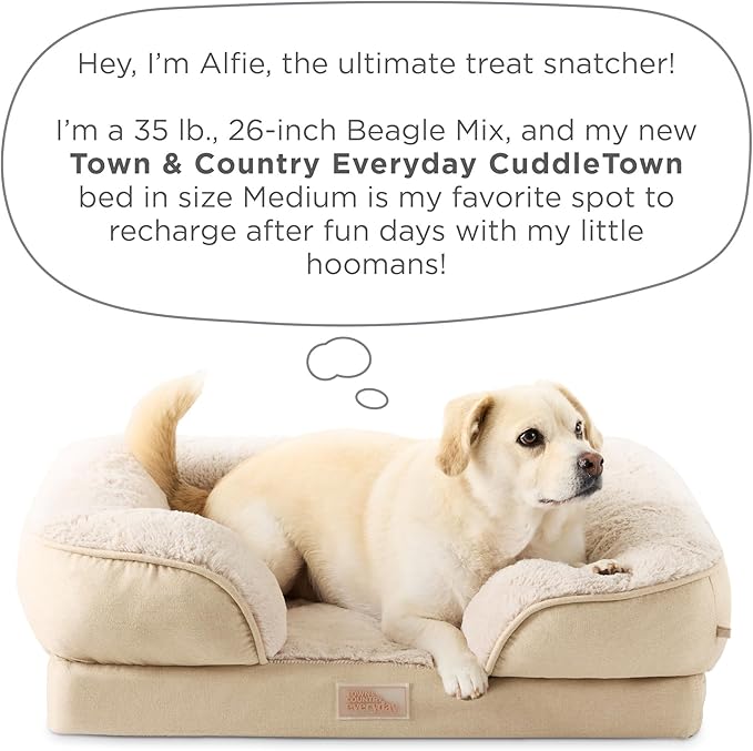 Town & Country Everyday CuddleTown Comfy Solid Bolster Sofa Pet Bed, Supportive & Calming Egg Crate Foam, Non-Slip Bottom, Machine Washable Cover, Blue, Medium 28"x23"x8"