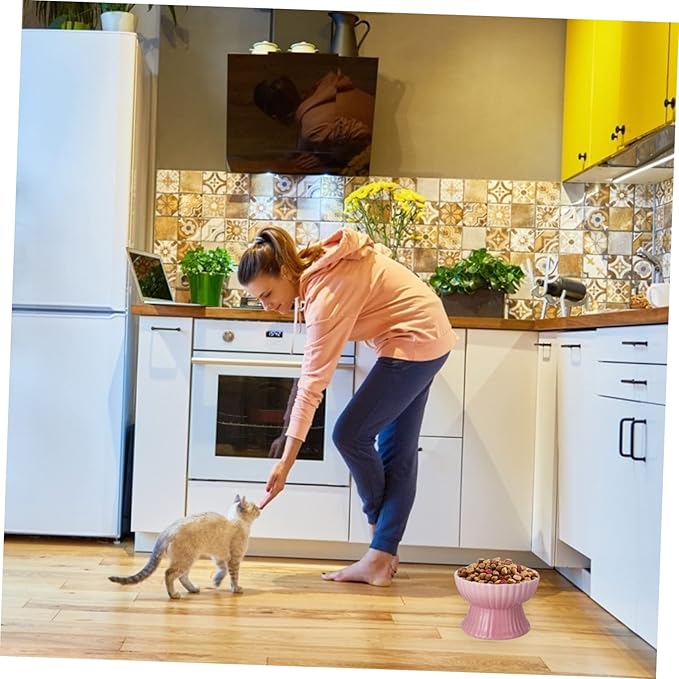 VICASKY Elevated Pet Food Bowl for Cats and Dogs Stylish Design Supports Healthy Eating Posture Easy Daily Feeding Vertical Stripes