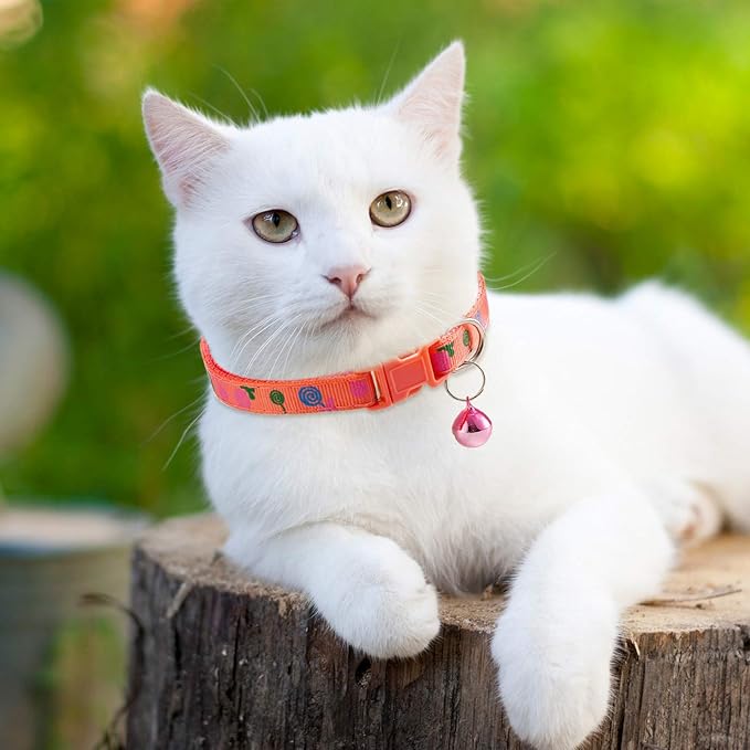 Frienda 6 Pack Cat Collars with Bells Breakaway Cats Collar Adjustable 8.27 to 13.39 Inches Safety Buckle Cute Pets Collar for Adult Cats and Small Dogs(Pink, Green, Red, Light Red, Yellow)