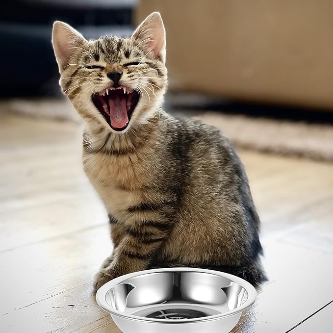 Stainless Steel Pet Bowl Set 5pcs 304 Food-Grade Raised Round Cat Bowls Sturdy Puppy Feeder for Indoor Feeding and Watering Supplies