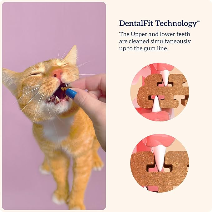 Groovies Cat Daily Dental Treats. Tasty, Crunchy Bites Cats Love. Chicken Flavor. Powered by USA-Patented DentalFit Technology. No Added Gluten, No Artificial Flavors or Colors. 7.05oz (460 Treats)
