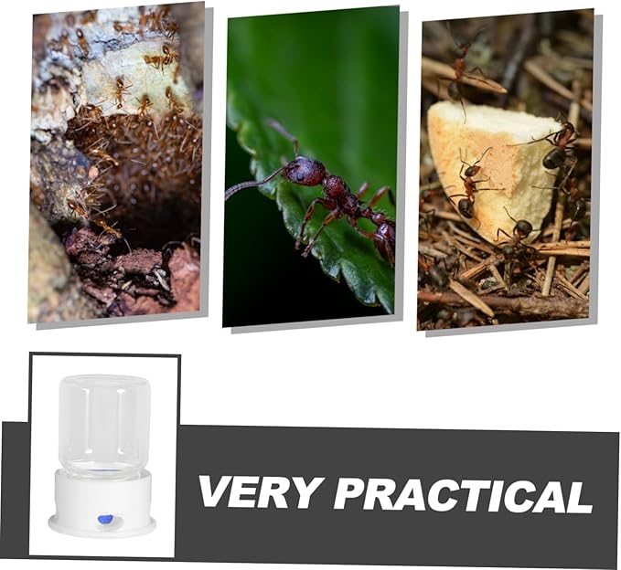 Automatic Ant Water Feeder Medium Ant Watering Station and Practical Design in Environment
