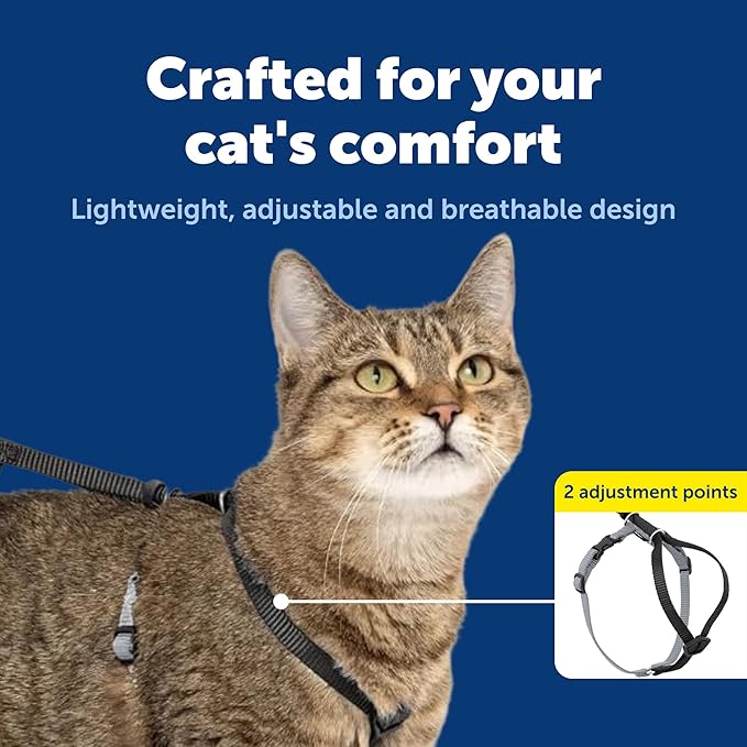 PetSafe Come with Me Kitty Harness and Bungee Leash Adjustable, Lightweight Harness for Cats Medium, Black