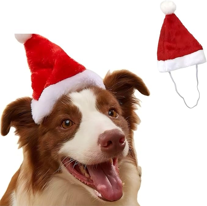 Adjustable Pet Santa Hat for Dogs Cats, Christmas Costume Hat for Puppy Kitten Holiday Party