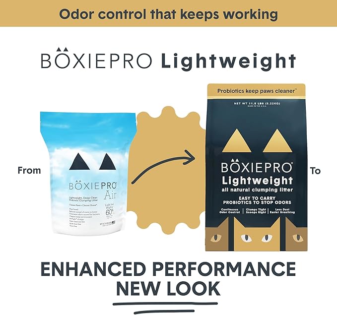 Boxie Probiotic Lightweight Cat Litter 40 Day Odor Control, Odor Eliminating Probiotics, 99.9% Dust Free, Multi-Cat, 11.5 lb