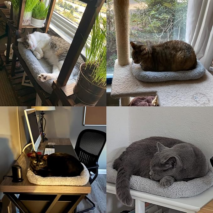LESYPET Cat Bed for Indoor Cats, Soft Cat Cushion with Cat Pillow Around, Rectangle Kitten Pad Small Bed for Window Sill, 22'' x 16''